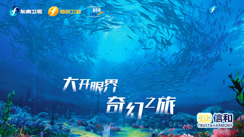 宁波舰船文化：从河姆渡桨声到世界大港的千年航路